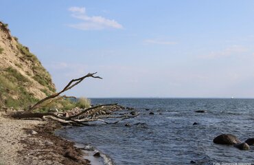 Greifswalder Bodden, Mönchgut, Zicker; Foto: Dominique Niessner
