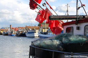 Fischkutter im Hafen Freest, Foto: Dominique Niessner