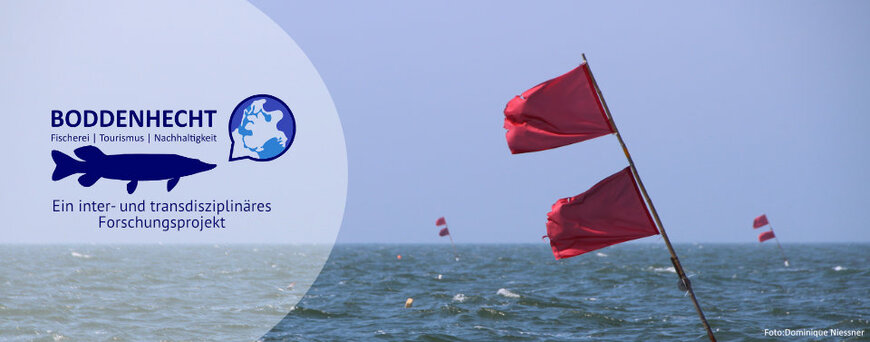 Boddenhecht, Stellnetzfahnen, Foto: Dominique Niessner