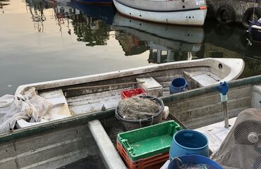 Fischerboot im Hafen Freest; Foto: Dominique Niessner