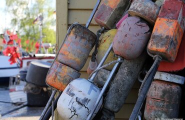 Fischerei, Schwimmkörper von Stellnetzen; Foto: Dominique Niessner