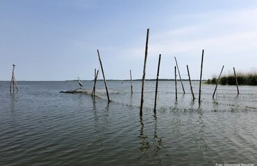 Fischreuse mit Graureiher; Foto: Dominique Niessner