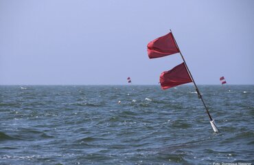 Stellnetz im Greifswalder Bodden; Foto: Dominique Niessner