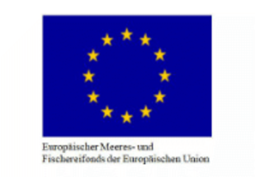 EU-Logo