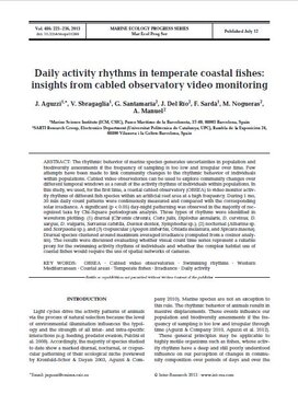 Daily activity rhythms