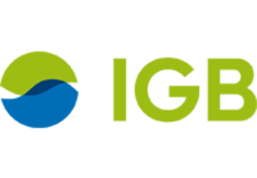 IGB_neu