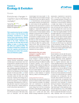 Evolutionary changes in cognition due to fisheries mortality?